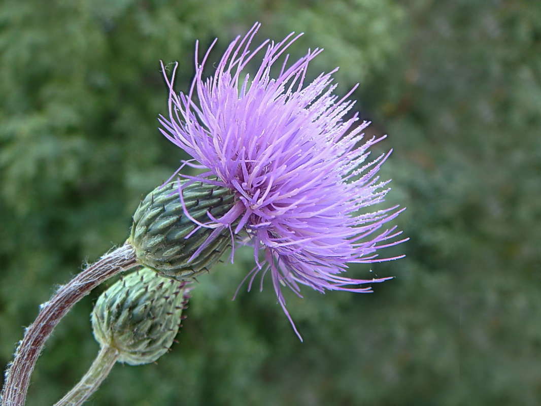 ������ � ������� ����� ������ ���� �� PhotoGeek.ru #������ ��� �������