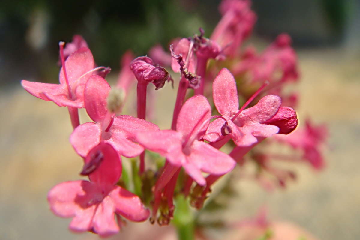 ��������� ������� ����� ������ ���� �� PhotoGeek.ru #������ ��� �������