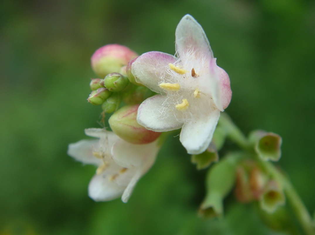 ��� �����... ����� ������ ���� �� PhotoGeek.ru #������ ��� �������