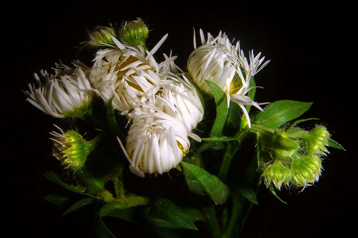 �������� ��������� ����� ������ ���� �� PhotoGeek.ru #������ ��� �������