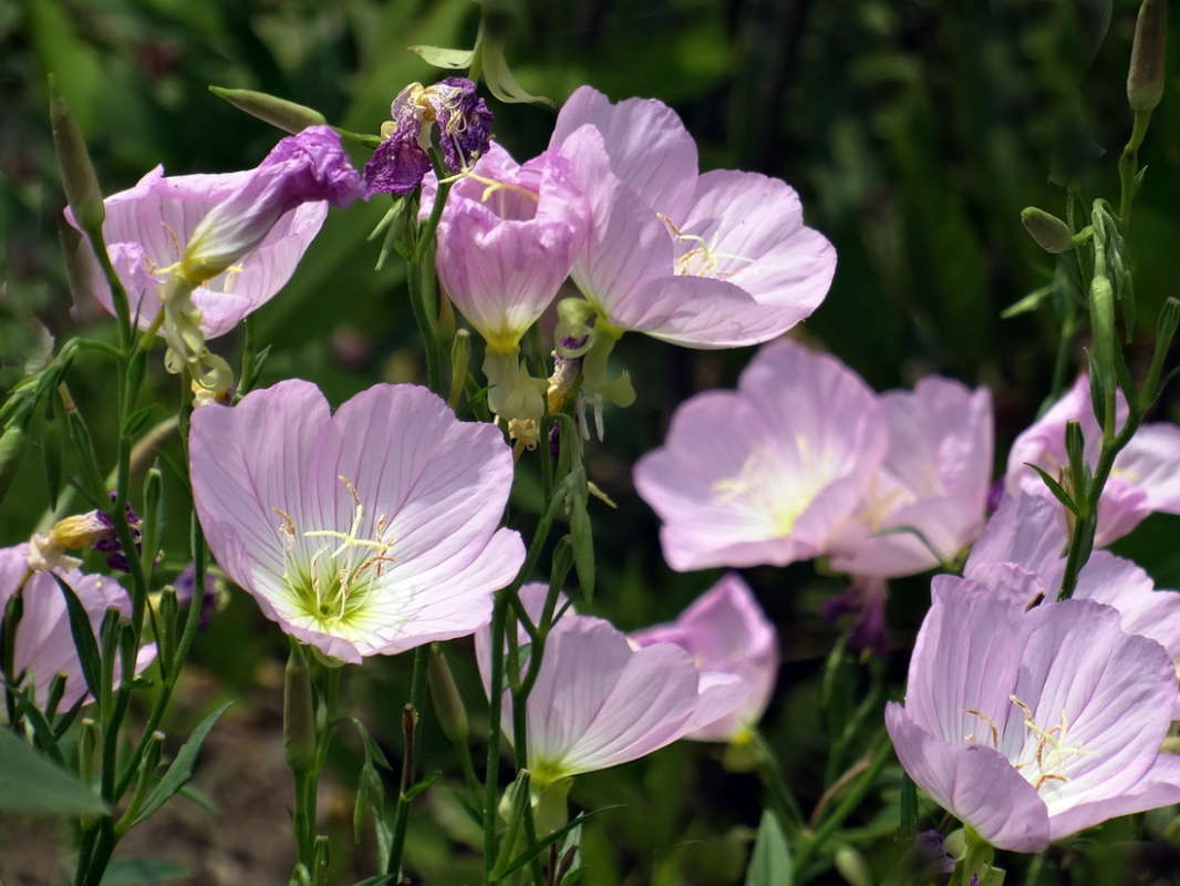 ������� ,������ ����� ������ ���� �� PhotoGeek.ru #������ ��� �������