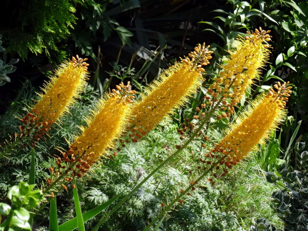 ����� ����� ������ ���� �� PhotoGeek.ru #������ ��� �������