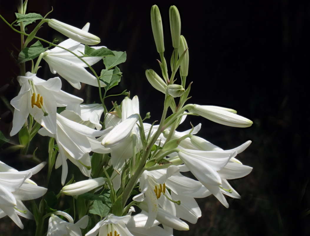 ����� ����� ����� ������ ���� �� PhotoGeek.ru #������ ��� �������