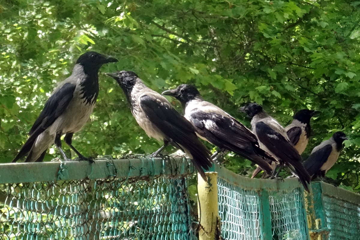 �������� ������ ������ ����� ������ ���� �� PhotoGeek.ru #�������� ���