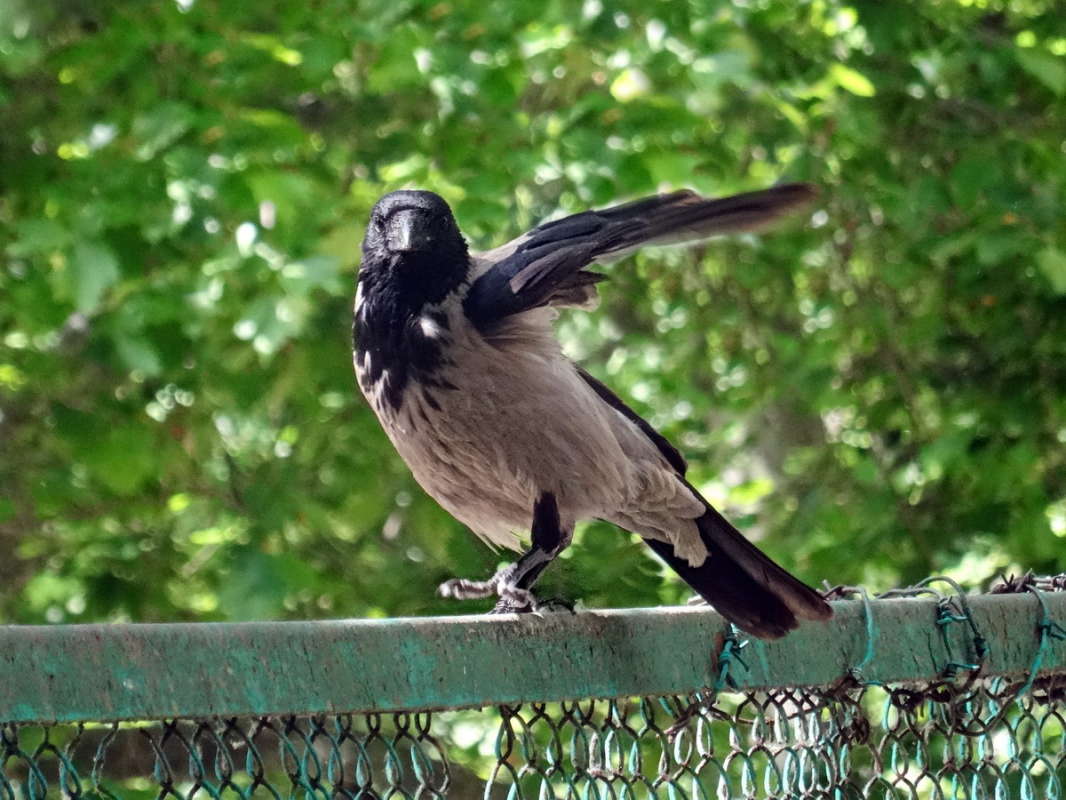 ������ ����� ������ ���� �� PhotoGeek.ru #�������� ���