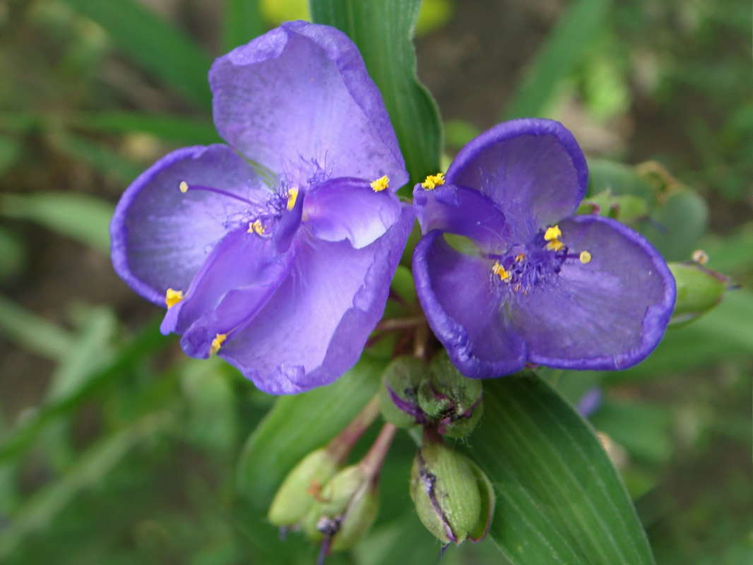 ������� � ������ ����� ������ ���� �� PhotoGeek.ru #������ ��� �������