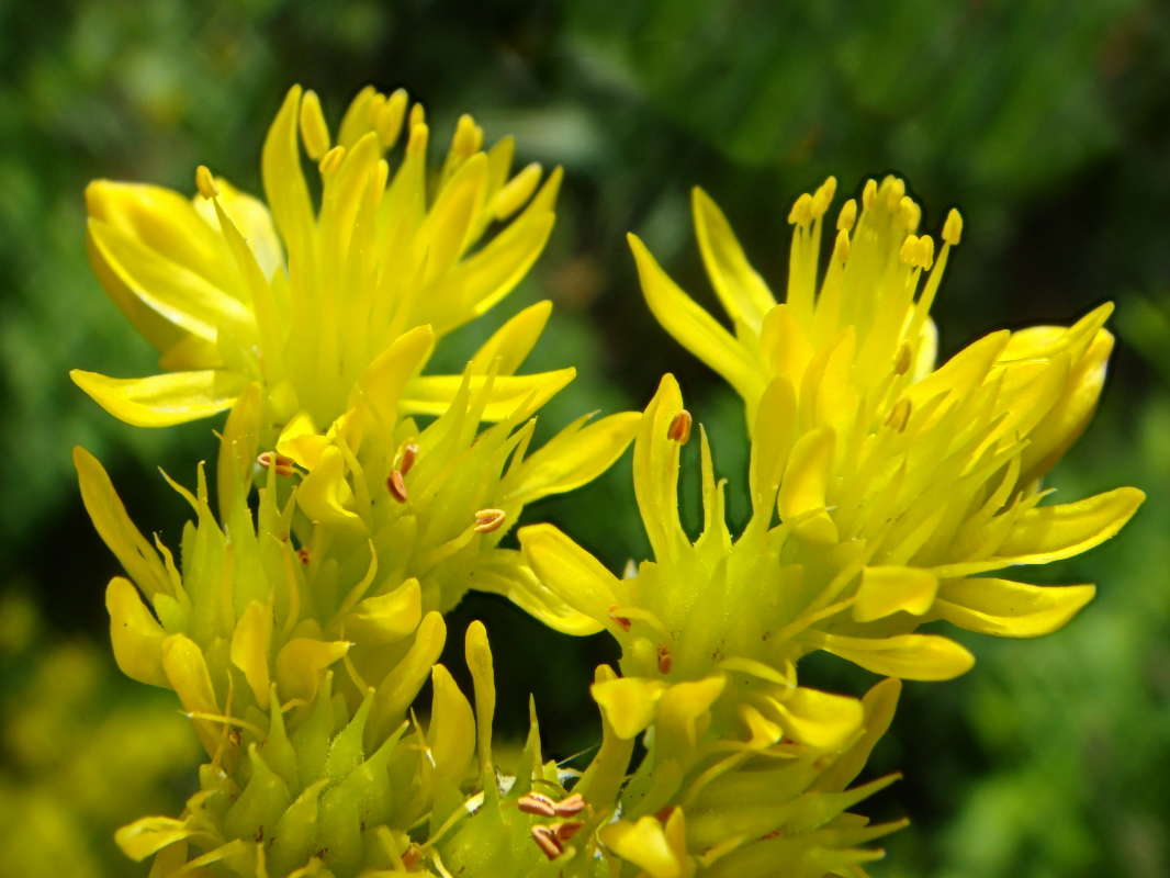 ������ ����� ���� ����� ������ ���� �� PhotoGeek.ru #������ ��� �������