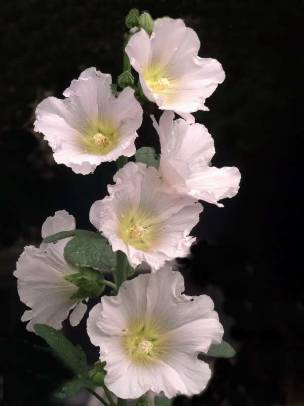 ������ ����� ������ ���� �� PhotoGeek.ru #������ ��� �������