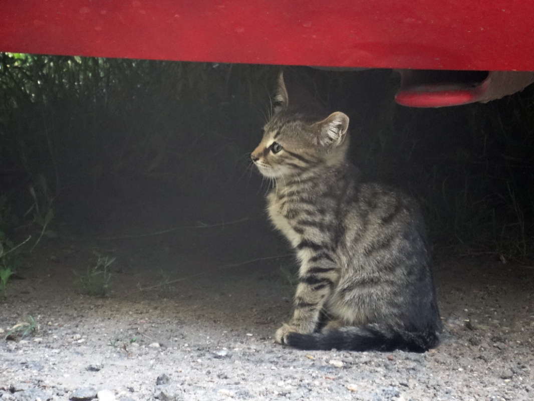 ������� ����� ����� ������ ���� �� PhotoGeek.ru #�������� ���