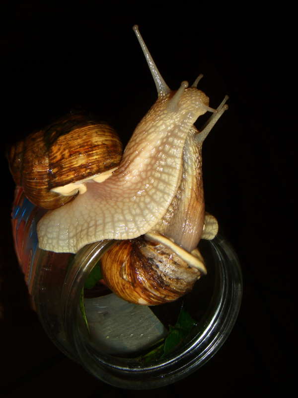 ��� ������ ����� ������ ���� �� PhotoGeek.ru #�������� ���