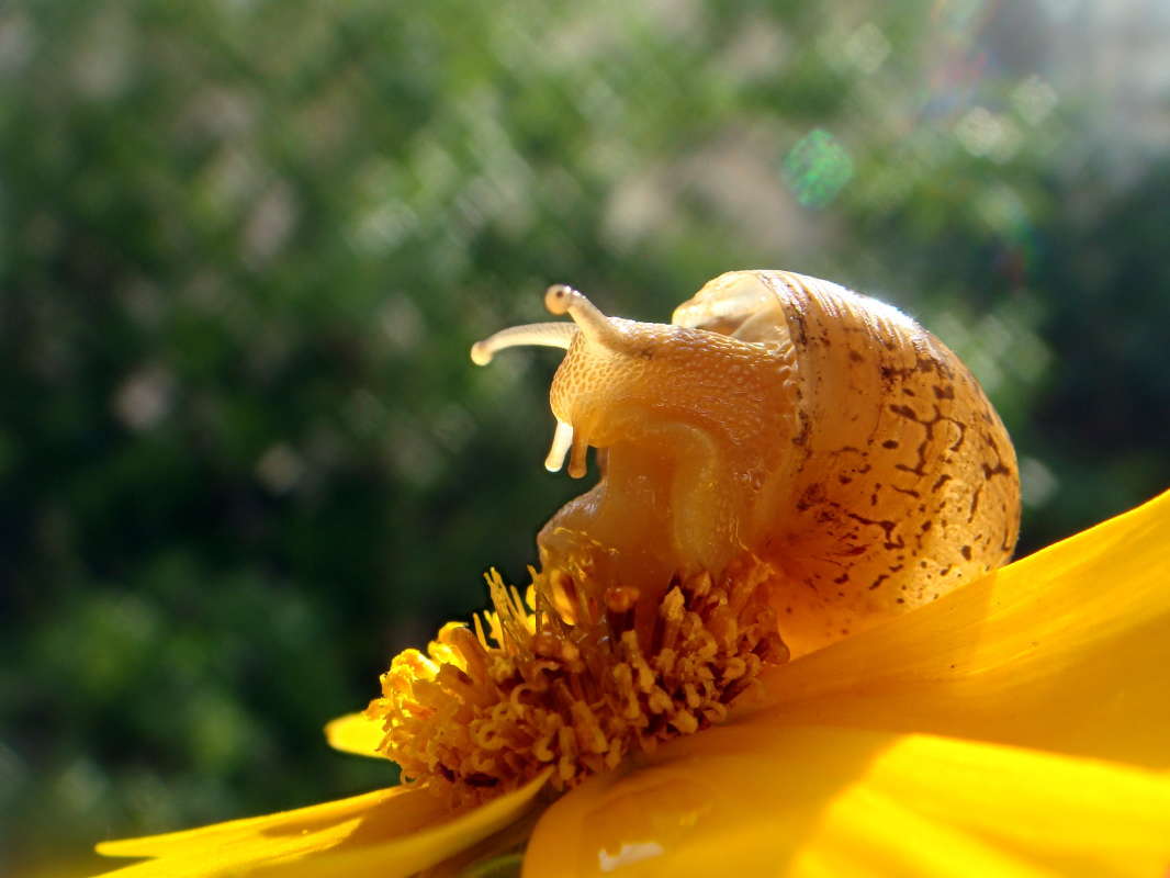 ������� ������� ����� ������ ���� �� PhotoGeek.ru #�����