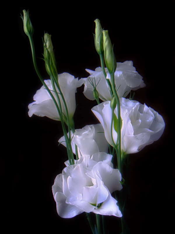 ������ ����� ������ ���� �� PhotoGeek.ru #������ ��� �������