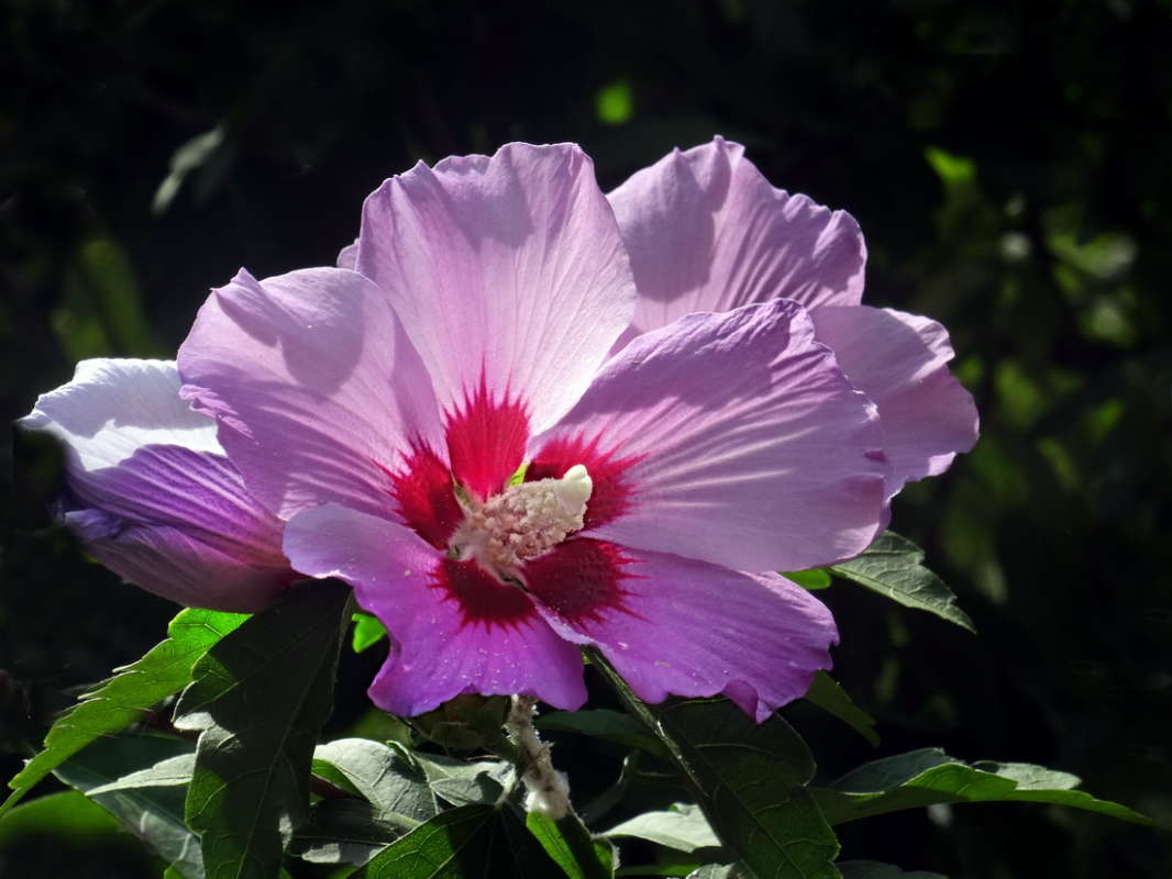 ������ ������ ����� ������ ���� �� PhotoGeek.ru #������ ��� �������