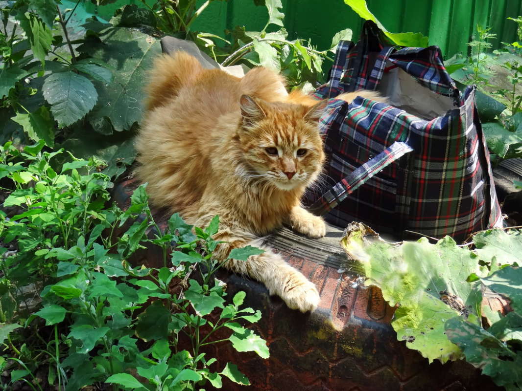 ������ ����� ������ ���� �� PhotoGeek.ru #�������� ���