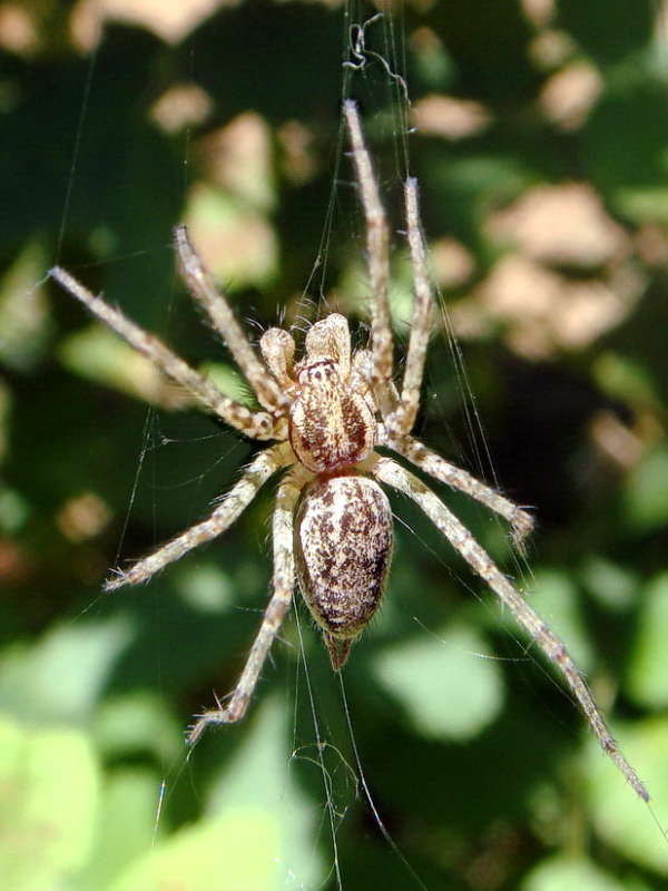 ������- �������� ����� ������ ���� �� PhotoGeek.ru #�����