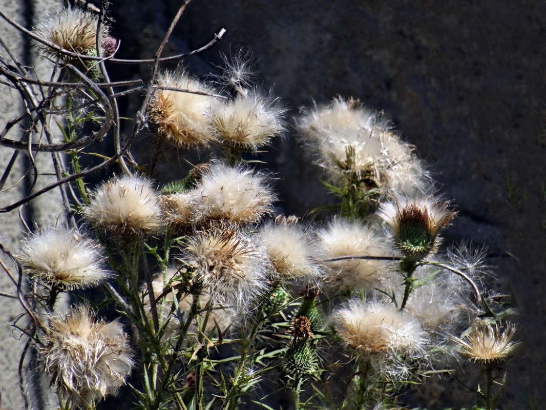 ������ ����� ������ ���� �� PhotoGeek.ru #������ ��� �������