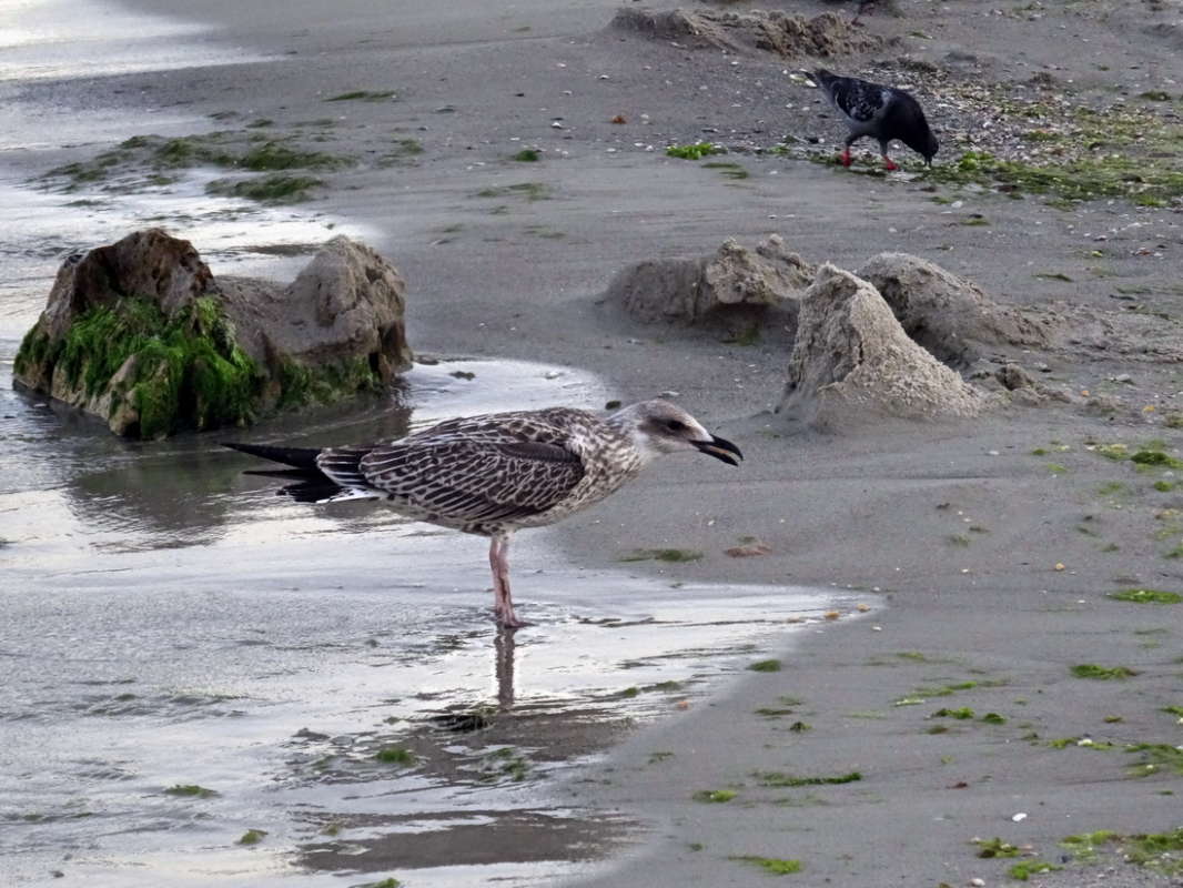 �� �������� ����� ����� ������ ���� �� PhotoGeek.ru #�������� ���