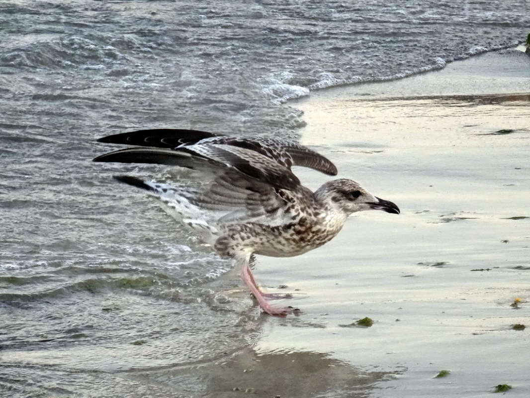 �� ����� ����� ������ ���� �� PhotoGeek.ru #�������� ���