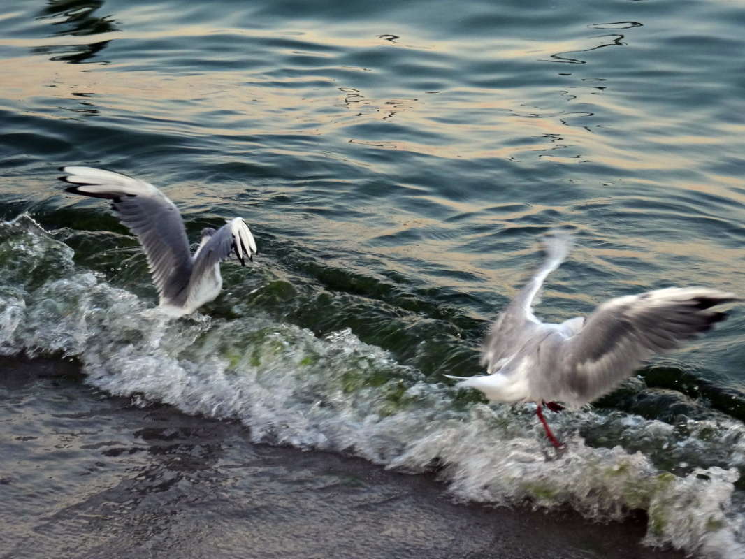 ����� ������ ����� ������ ���� �� PhotoGeek.ru #�������� ���