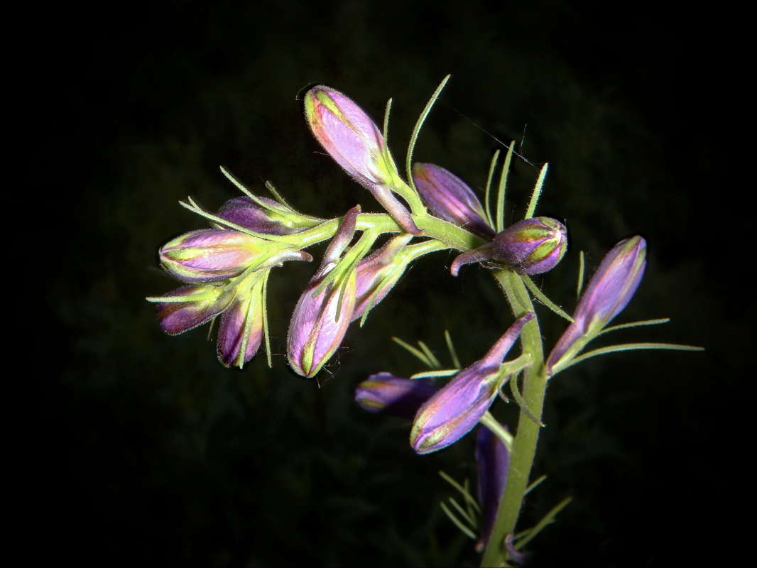 ���� ����� ������� ����� ������ ���� �� PhotoGeek.ru #������ ��� �������