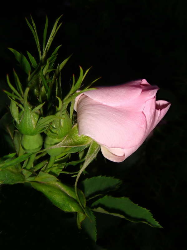 ����� ����� ������ ���� �� PhotoGeek.ru #������ ��� �������