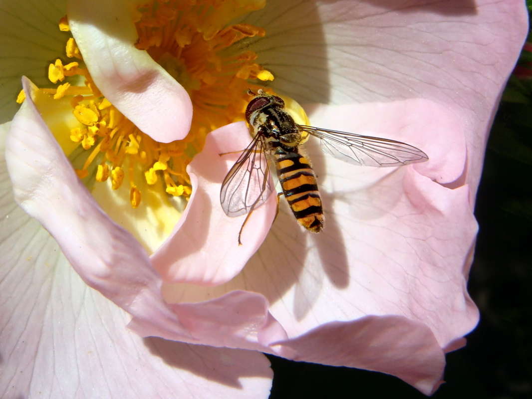 ����� � ���� � ���... ����� ������ ���� �� PhotoGeek.ru #�����