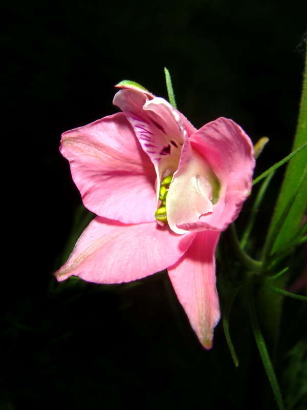 ��������� �������� �������� ����� ������ ���� �� PhotoGeek.ru #�����