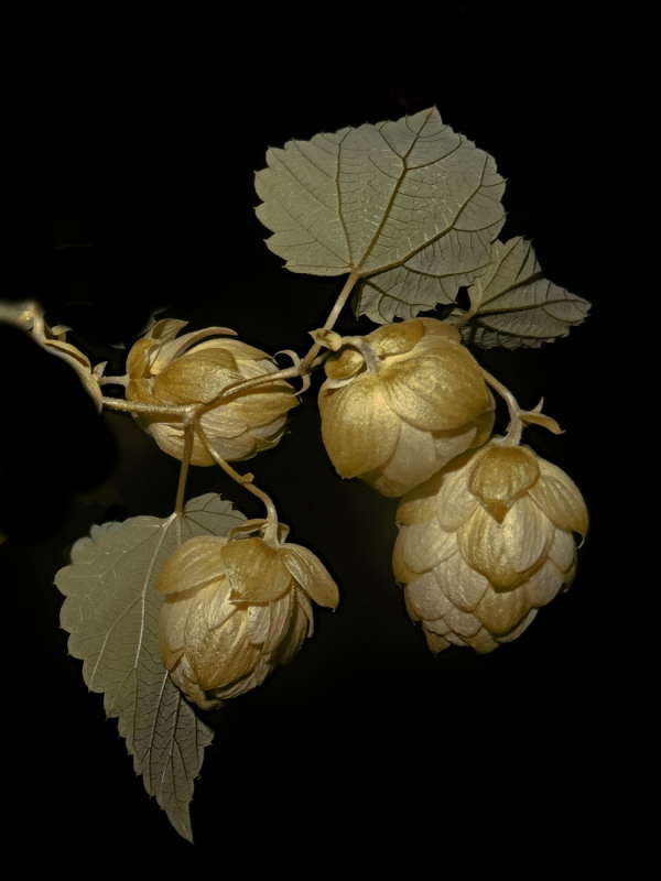 ����� ����� ������ ���� �� PhotoGeek.ru #������ ��� �������