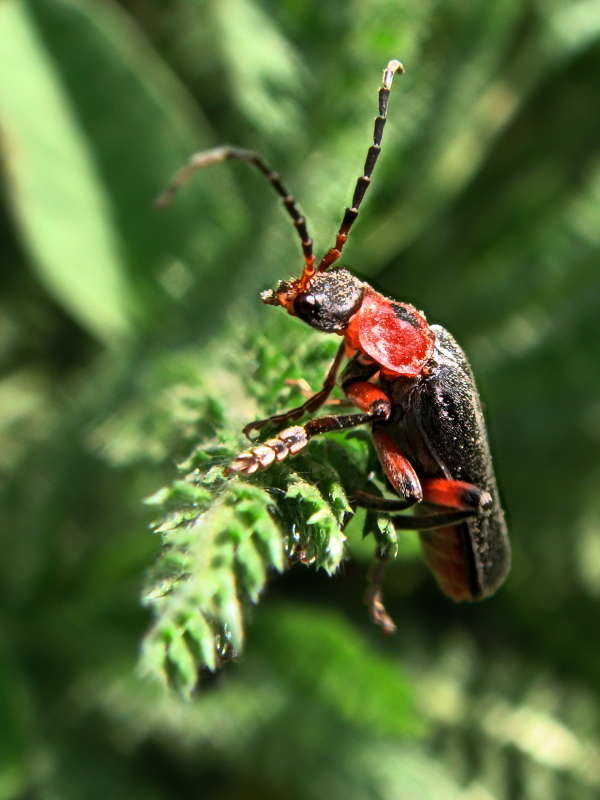 ��� ����� ������ ���� �� PhotoGeek.ru #�����