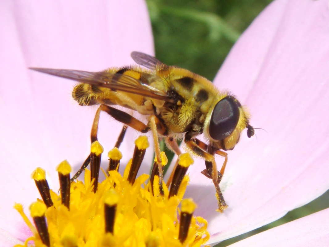 � ��������� ���������� ����� ������ ���� �� PhotoGeek.ru #�����