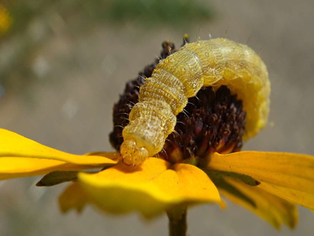 ������� ������� ����� ������ ���� �� PhotoGeek.ru #�����