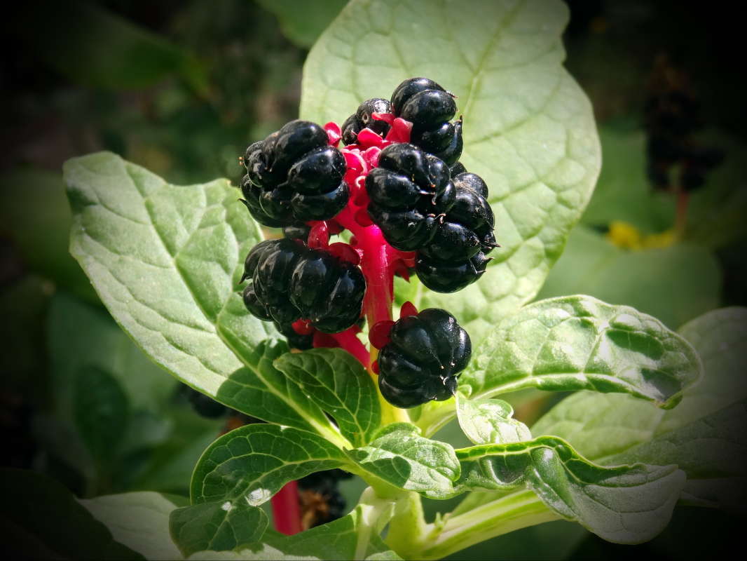 ������ (����� ������� ) ����� ������ ���� �� PhotoGeek.ru #�����