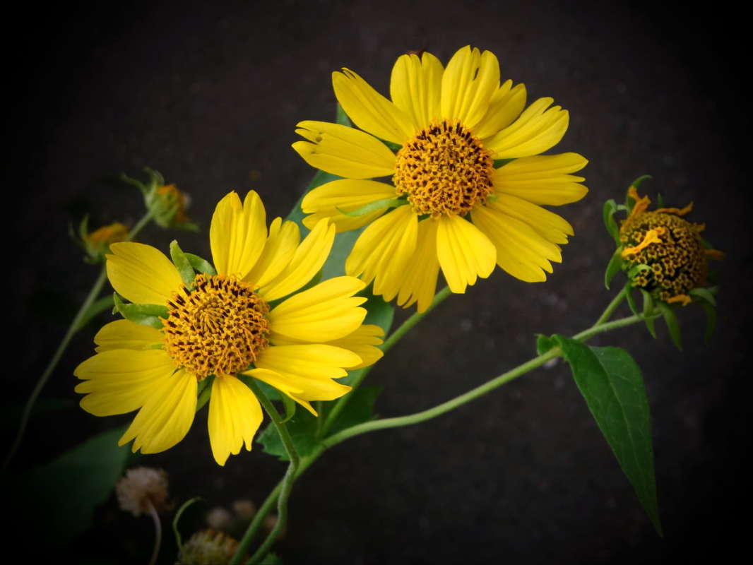 � ������� �������� ����� ������ ���� �� PhotoGeek.ru #������ ��� �������