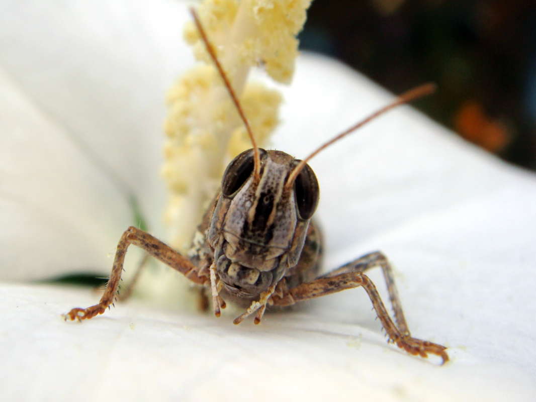 ������� � ��� ����� ������ ���� �� PhotoGeek.ru #�����