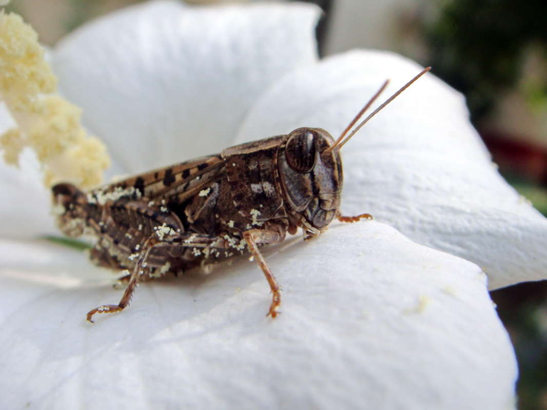 �������� ����� ������ ���� �� PhotoGeek.ru #�������� ���