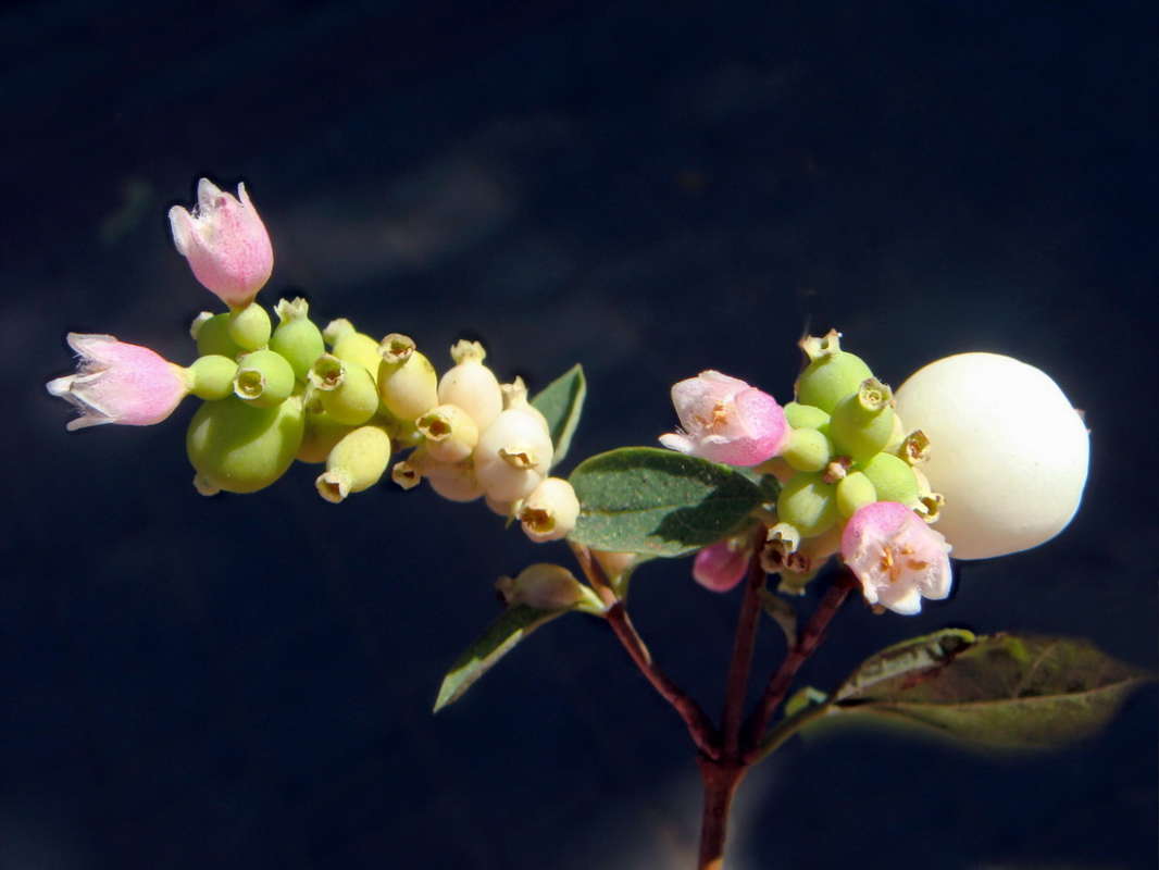 ���������� �������� ����� ������ ���� �� PhotoGeek.ru #������ ��� �������