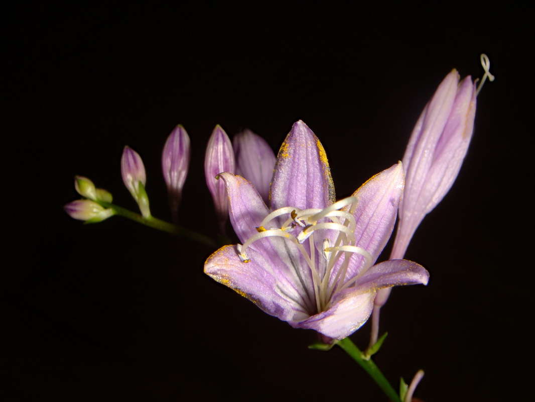 ������� �������� ����� ������ ���� �� PhotoGeek.ru #������ ��� �������