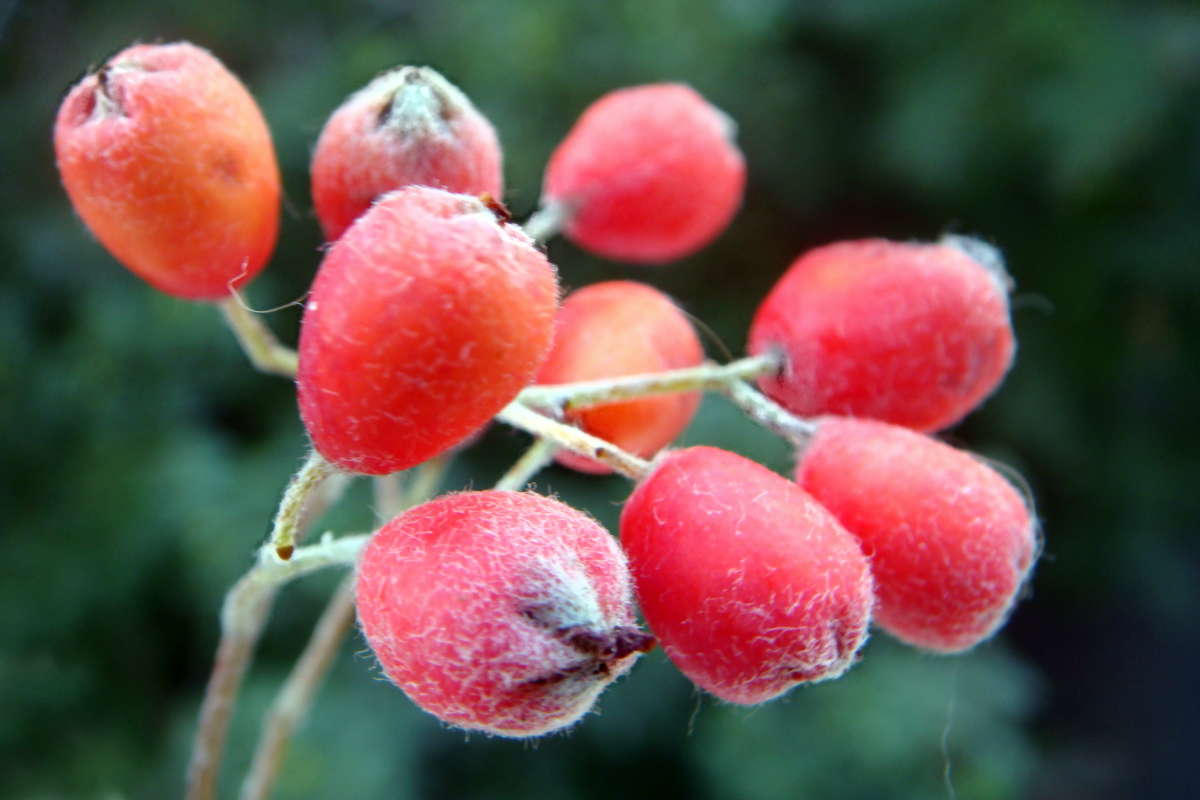 ������ ����� ������ ���� �� PhotoGeek.ru #������ ��� �������