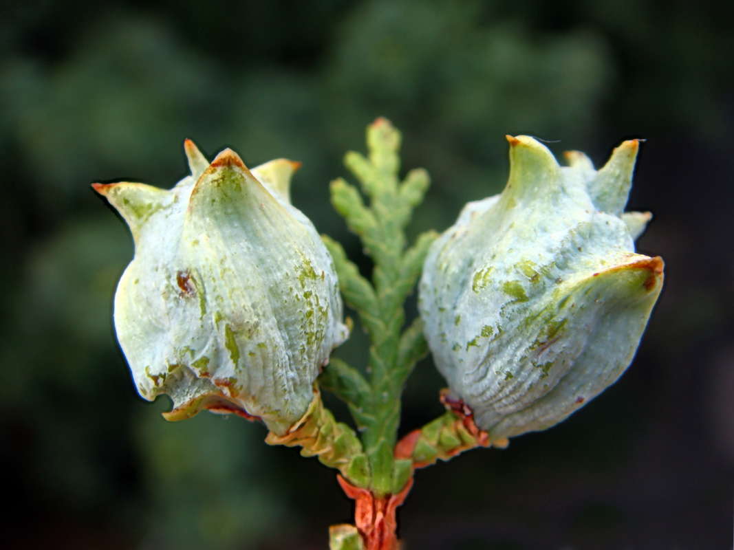 ������� ��� ����� ������ ���� �� PhotoGeek.ru #������ ��� �������