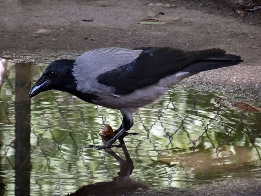 ������ � ������ ����� ������ ���� �� PhotoGeek.ru #�������� ���