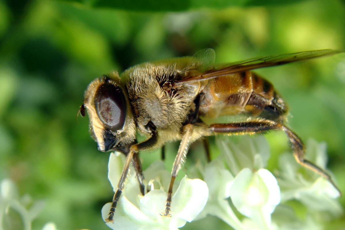 ��������� ����� ������ ���� �� PhotoGeek.ru #�����