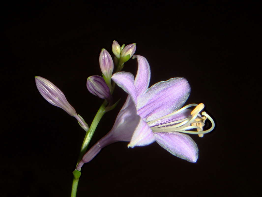 ������� ������ ����� ������ ���� �� PhotoGeek.ru #������ ��� �������