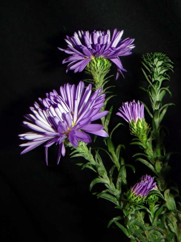 ��������� ����� ������ ���� �� PhotoGeek.ru #������ ��� �������