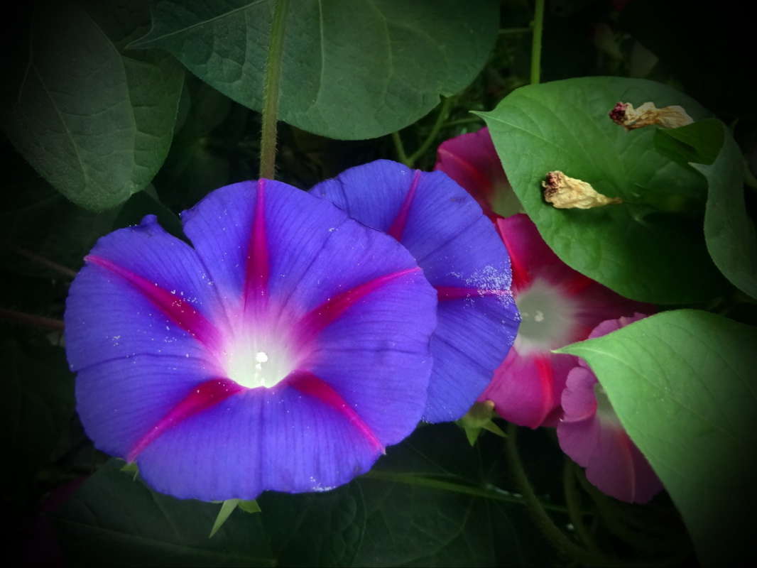 ������������� ����� ������ ���� �� PhotoGeek.ru #������ ��� �������