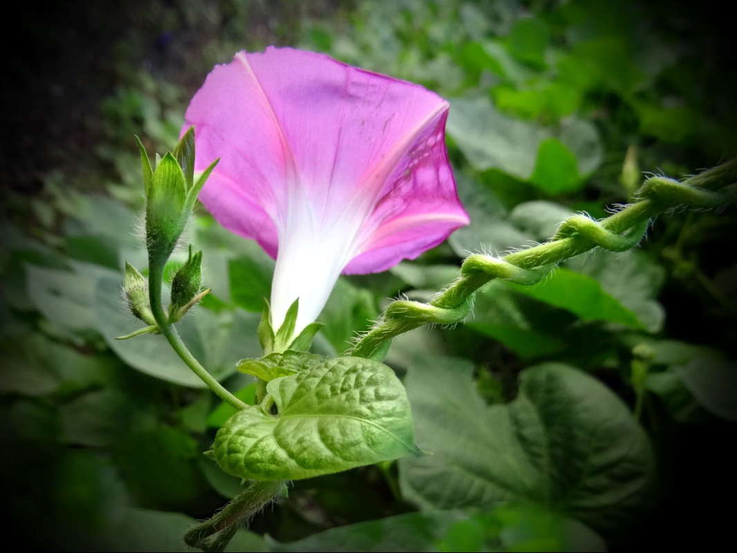 ****** ����� ������ ���� �� PhotoGeek.ru #������ ��� �������