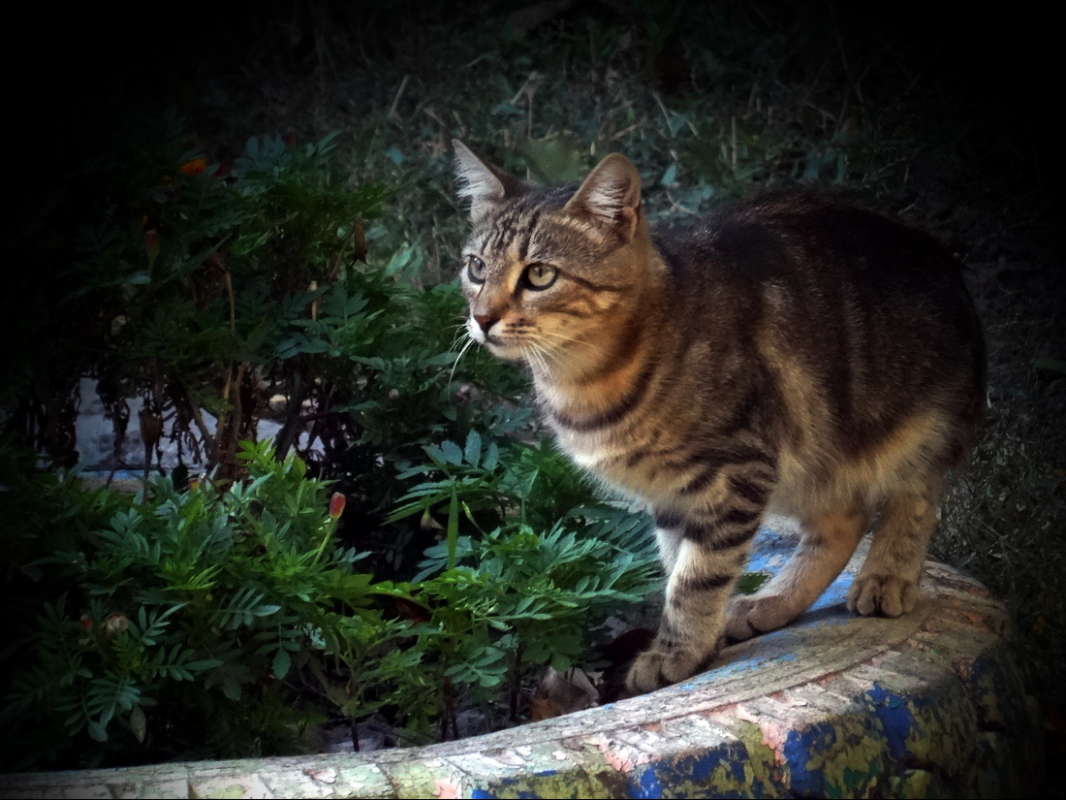 ������� ������� ����� ������ ���� �� PhotoGeek.ru #�������� ���