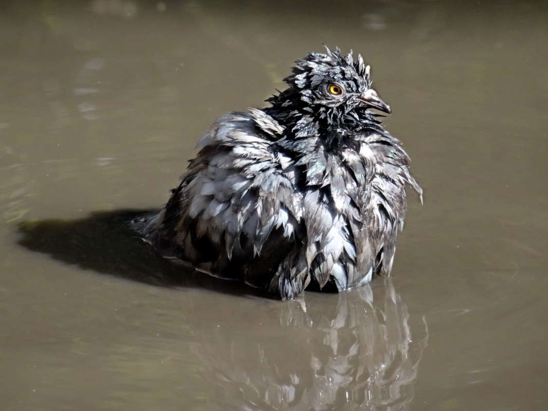 � ����� ����� ������ ���� �� PhotoGeek.ru #�������� ���