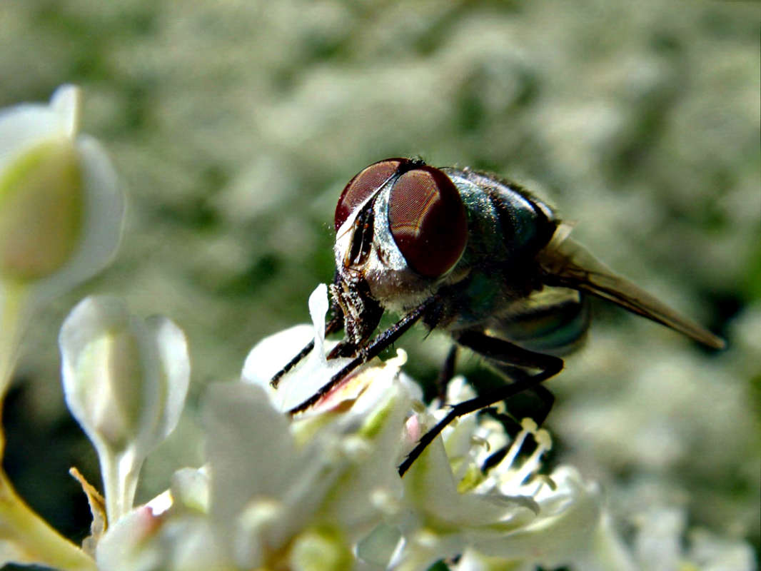 ���� ����� ������ ���� �� PhotoGeek.ru #�����