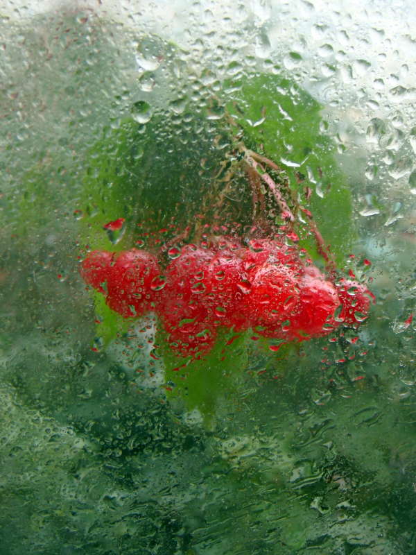 ������ ������� .. ����� ������ ���� �� PhotoGeek.ru #������ ��� �������