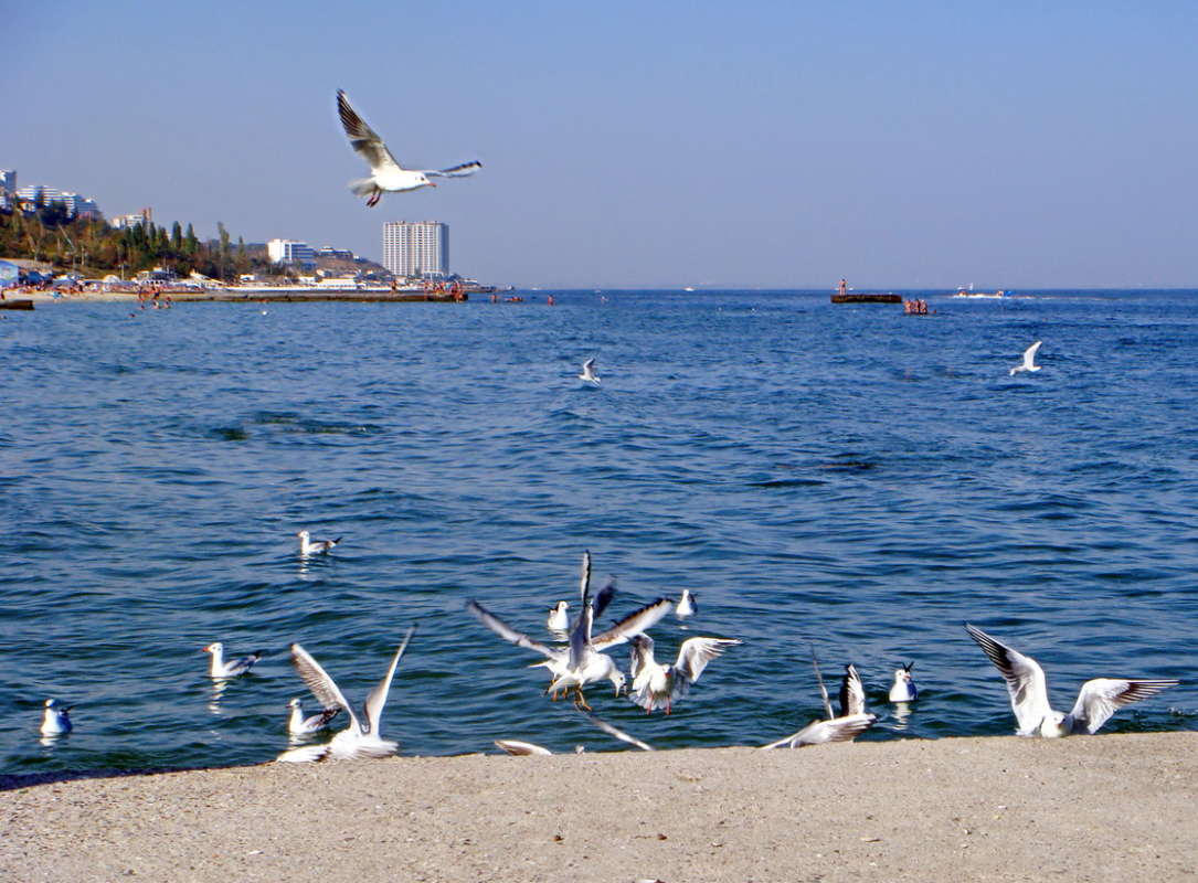 ���� ������ ��������� ����� ������ ���� �� PhotoGeek.ru #������ ��� �������